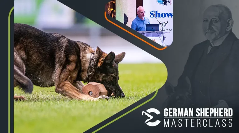 Gruende fuer den Hundesport Intro