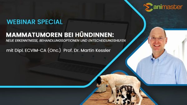 Dr Martin Kessler Mammatumoren bei Huendinnen 1024x570 kompr 1