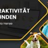 Hyperaktivität-bei-Hunden