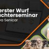 Mein erster Wurf - Neuzüchterseminar