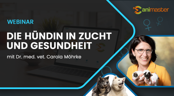 Dr. Carola Möhrke - Die Hündin in Zucht und Gesundheit