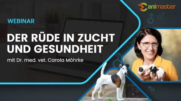 Der Ruede in Zucht und Gesunfheit Dr. Carola Moehrke kompr