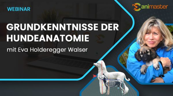 Grundkenntnisse-der-Hundeanatomie