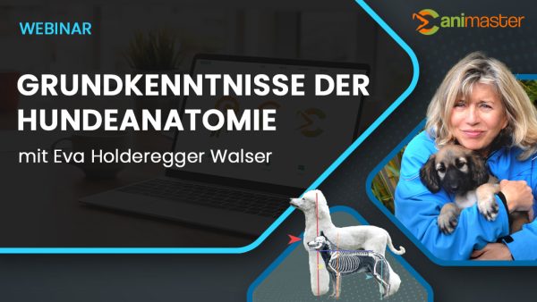 Grundkenntnisse-der-Hundeanatomie