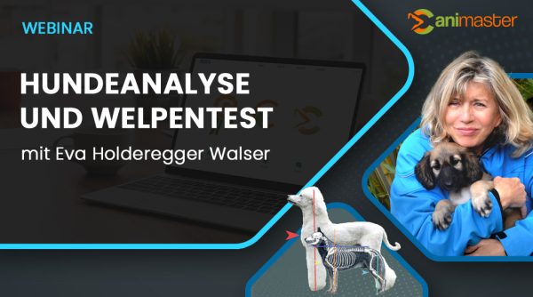 Hundeanalysse-und-Welpentest