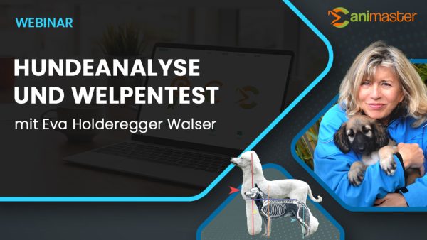 Hundeanalysse-und-Welpentest