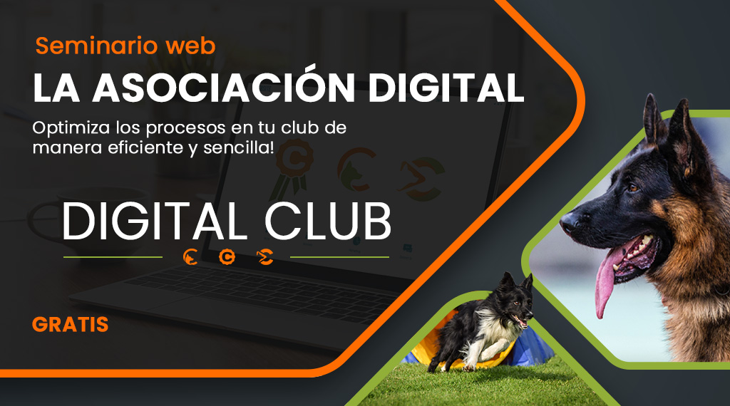 La-asociación-digital-espanol