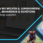 Anja Joachim_Parasiten bei Welpen und Junghunden_Canimaster