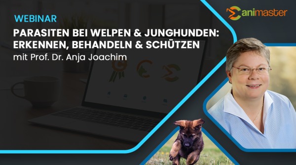 Anja Joachim_Parasiten bei Welpen und Junghunden_Canimaster