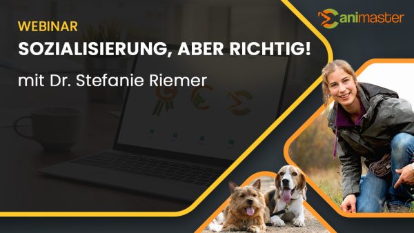 Sozialisierung, aber richtig_Stefanie Riemer_Canimaster