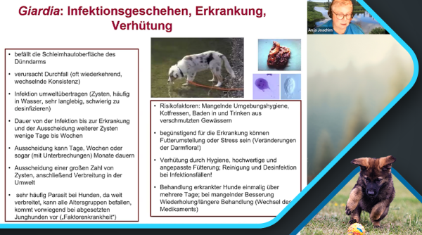 Anja Joachim_Parasiten bei Welpen und Junghunden_Canimaster2