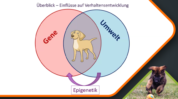 Sozialisierung, aber richtig_Stefanie Riemer_Canimaster2