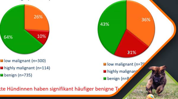 Mammatumoren_Kessler