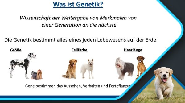 Grundlagen-der-Genetik_Geretschlaeger