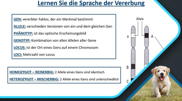 Grundlagen-der-Genetik_Geretschlaeger