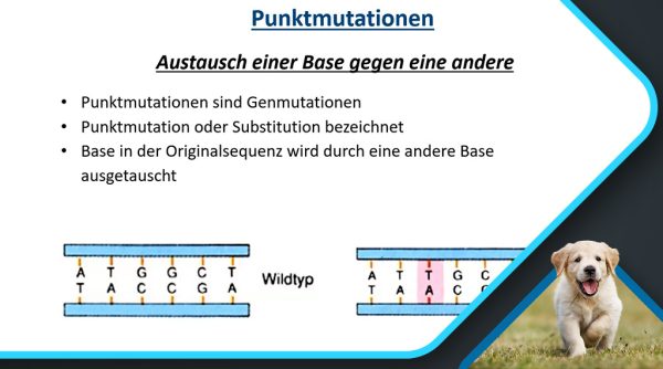 Mutationen - Segen oder Fluch_Geretschläger