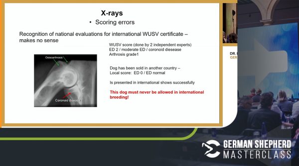 Fortschritte der Hüftdysplasiediagnostik - Advances in hip dysplasia diagnostics_Bernd Tellhelm2