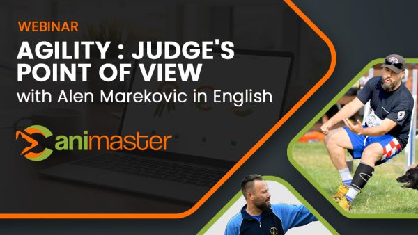 Agility: judge's point of view_Marekovic