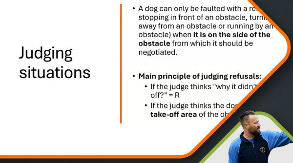 Agility: judge's point of view