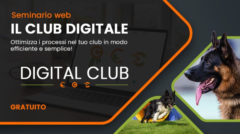 Digital Club_IT