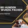 Stefanie Riemer - Angst bei Hunden an der Wurzel packen