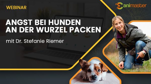 Stefanie Riemer - Angst bei Hunden an der Wurzel packen